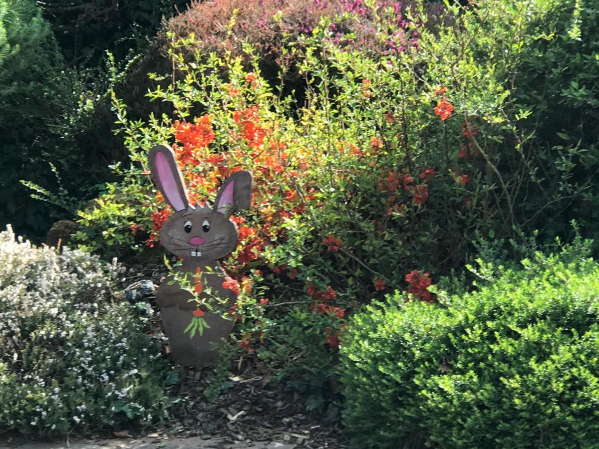 Bien Etre Et Detente Chez Cote Campagne Et Jardin Ohnenheim Ngoại thất bức ảnh
